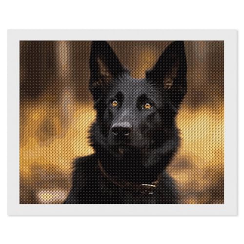 NWTRJ 5D-Diamant-Malerei-Set für Erwachsene, Anfänger, rund, 5D-Diamant-Punkte, Gemälde, Vollbohrer, schwarzer Schäferhund, Diamantmalerei, Edelstein-Kunst-Kits für Wanddekoration von NWTRJ