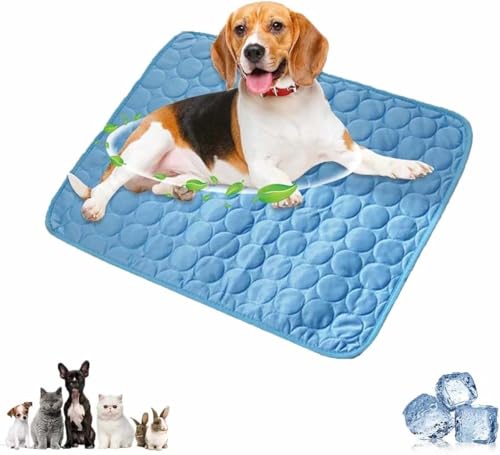 NXJJGQVM Haustiermatte, wiederverwendbare Hundematte, stilvolle Haustiermatratze, geeignet für Hundekäfig NXJJGQVM Haustiermatte, wiederverwendbare Hundematte, stilvolle Haustiermatratze, geeignet für Hundekäfig von NXJJGQVM