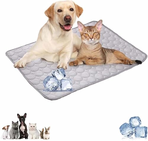 NXJJGQVM Haustiermatte, wiederverwendbare Hundematte, stilvolle Haustiermatratze, geeignet für Hundekäfig NXJJGQVM Haustiermatte, wiederverwendbare Hundematte, stilvolle Haustiermatratze, geeignet für Hundekäfig von NXJJGQVM