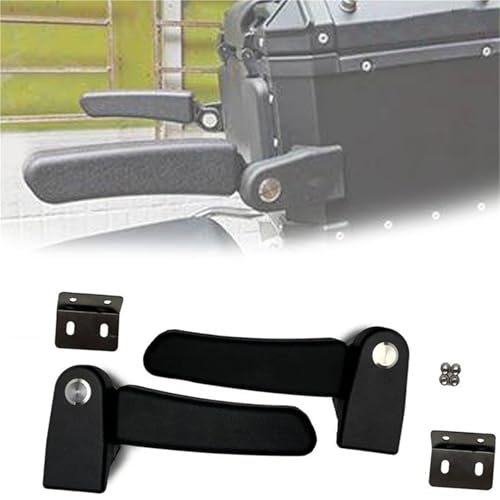 NXLJA Haltegriff für Beifahrer Motorradzubehör, 2-teiliges Beifahrerarmlehnen-Klappbox-Rücksitzarmlehnen-Kit, Seitlicher Handlauf Für BMW R1250GS LC Adventure 2019 2020 2021 2022 2023 von NXLJA