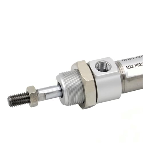 DSNU32 Runder Mini-Pneumatikzylinder Aus Edelstahl DSNU-32-100-PA DSNU32-25-PPV-A DSNU32-50-PA(DSNU-32-150) von NYDPXHNJV