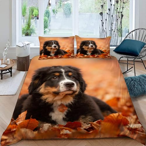 NYSMGS Berner Sennenhund Bettwäsche 155x220 Mädchen Jungen Teenager 3D Druck Hund Haustier Weich Mikrofaser Atmungsaktive Sommer Erwachsene Bettbezug mit Reißverschluss und 2 Kissenbezüge 80x80cm von NYSMGS