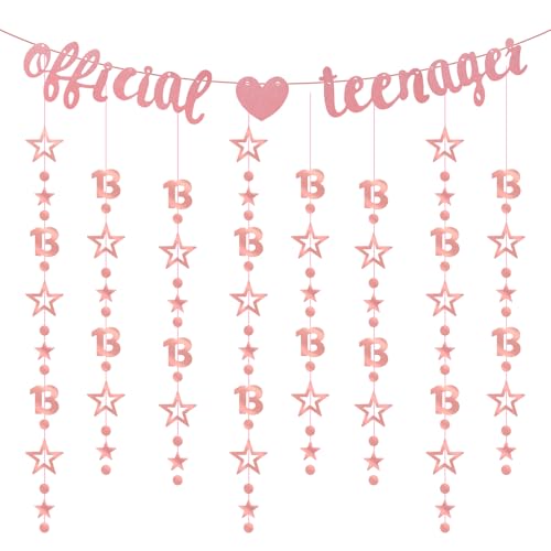 13 Geburtstag Mädchen,Dekoration zum Geburtstag 13 Jahre Mädchen,Glitzernde Happy Birthday Girlande mit Twinkle Star,Offizielle Teenager 13. Geburtstagsdeko (Roségold) von NYTGAH
