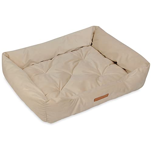 NYVI Hundebett NYVIPet Milo Velvet 76x60 cm Beige - Herausnehmbares Kissen, auch für Katzen - Hundekissen Hundesofa Für Kleine & Mittlere Hunde - Höchster Liegekomfort, Oeko-TEX von NYVI