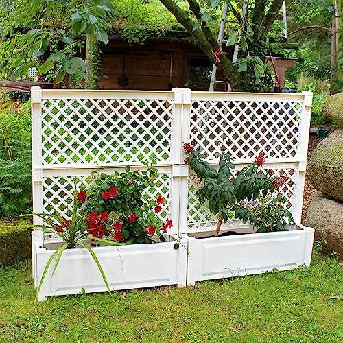 NYVI Pflanzkasten NYVIGreen 100x43x140 cm 110 Liter mit Zentralspalier 2er Set - Pflanzkübel aus wetterfestem & recyceltem Kunststoff - Pflegeleicht, Montage ohne Werkzeug, Farbe:Weiß NYVI Pflanzkasten NYVIGreen 100x43x140 cm 110 Liter mit Zentralspalier 2er Set - Pflanzkübel aus wetterfestem & recyceltem Kunststoff - Pflegeleicht, Montage ohne Werkzeug, Farbe:Weiß von NYVI