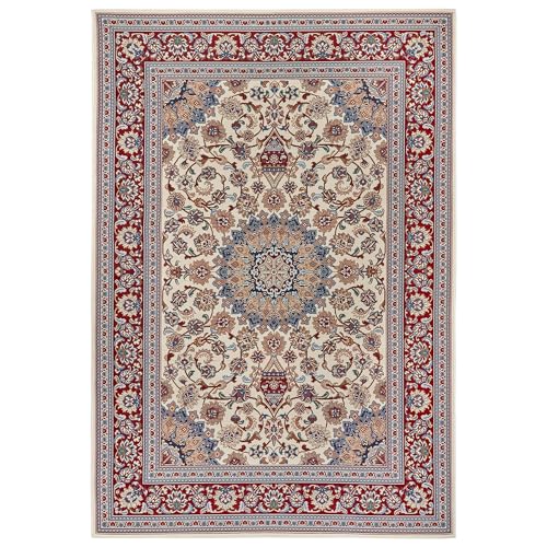 NYVI Teppich Flair - Wetterfest, UV-beständig, für Innen und Außen - Wohnteppich Outdoorteppich - 240x340 cm Rechteckig - Creme Rot Kadi NYVI Teppich Flair - Wetterfest, UV-beständig, für Innen und Außen - Wohnteppich Outdoorteppich - 240x340 cm Rechteckig - Creme Rot Kadi von NYVI