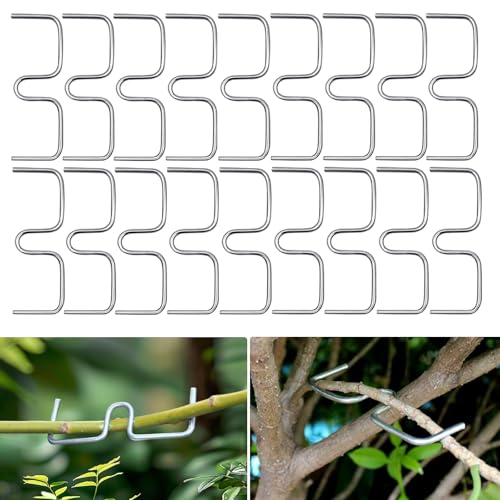 NYZQIW 30 Stück Astzieher Astspreizer für Obstbäume, Aststütze für Obstbäume, Astzieher Halter für Obstzweige, Astklammern Metall für Gartenzweige, Zum Spreizen und Ebnen von Obstbaumzweigen NYZQIW 30 Stück Astzieher Astspreizer für Obstbäume, Aststütze für Obstbäume, Astzieher Halter für Obstzweige, Astklammern Metall für Gartenzweige, Zum Spreizen und Ebnen von Obstbaumzweigen von NYZQIW