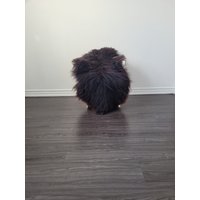Echter Schaffell Teppich, Weiche Dichte Wolle Seltene Farbe 100% Natürliche #b452 von NYsheepskin