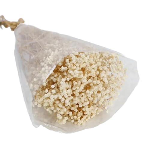 Getrocknetes Babyatemblume 19 7 Zoll Getrocknete Gypsophila Für Home Decoration Photography Hochzeitsblumung Arrangements von NZHBOAM