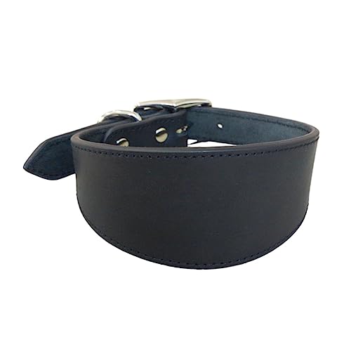 NZHBOAM Weit Gepolsterte Hunde Halsband Echte Leder Welpenkragen Für Lurchers Italienische Windhunde Bequeme Haustierhunde Accessoires Whippets Lurcher Sightheunds NZHBOAM Weit Gepolsterte Hunde Halsband Echte Leder Welpenkragen Für Lurchers Italienische Windhunde Bequeme Haustierhunde Accessoires Whippets Lurcher Sightheunds von NZHBOAM