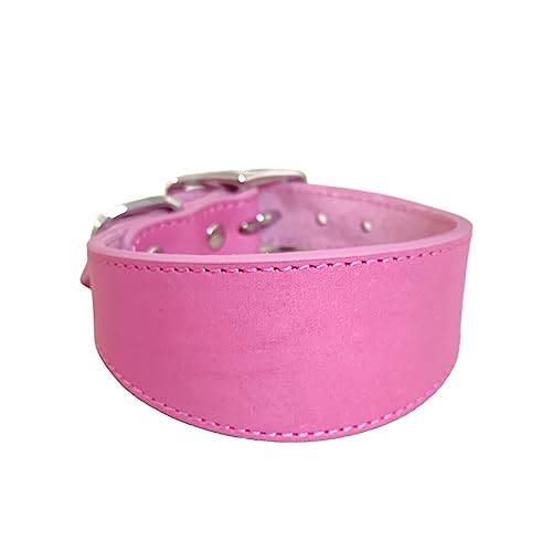 NZHBOAM Weit Gepolsterte Hunde Halsband Echte Leder Welpenkragen Für Lurchers Italienische Windhunde Bequeme Haustierhunde Accessoires Whippets Lurcher Sightheunds NZHBOAM Weit Gepolsterte Hunde Halsband Echte Leder Welpenkragen Für Lurchers Italienische Windhunde Bequeme Haustierhunde Accessoires Whippets Lurcher Sightheunds von NZHBOAM