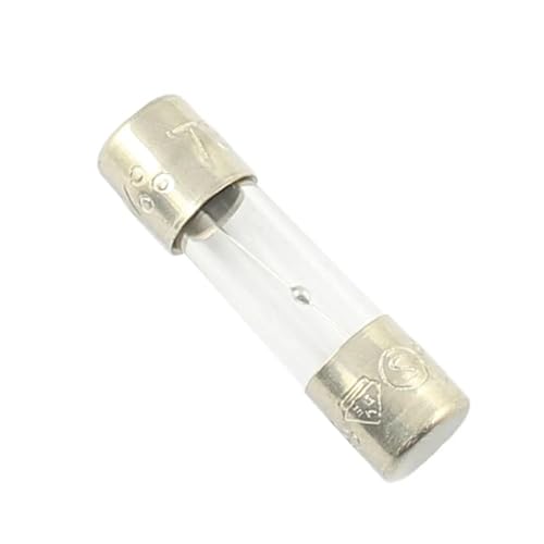 Rohr Glas Sicherung 50T 5x20mm 5 * 20mm Langsam Schlag Zeit-verzögerung 250V T 2A 3,15 A T2AL T3.15AL 5Pcs(T3.15AL) von NZTZEEBZ