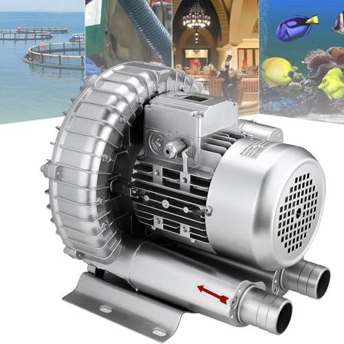 0,16–1,48 PS (120–1100 W) Regeneratives Gebläse, Industrielle Vakuumpumpe for Blasen Oder Saugen Von Luft, Wirbelgebläse Zur Abwasserbelüftung, Einphasig, Geräuscharm(750W/1.01HP) von NZVZGKTNTW