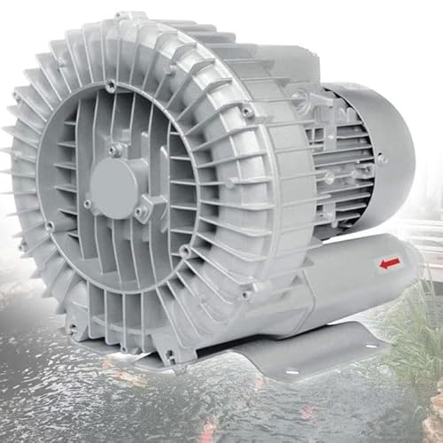 120 W – 1100 Seitenkanalgebläse, Regeneratives Gebläse for Luftblasen, Absaugen, Abwasserbelüftung, Einphasige Wirbelgaspumpe, Ringgebläse Fischteiche(1100w/1.48hp) von NZVZGKTNTW