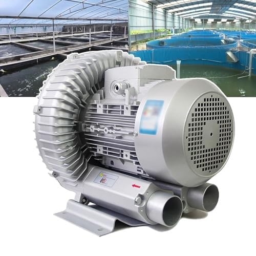 220 V 50 Hz Regeneratives Gebläse, Elektrische Luftpumpe for Aquarien, Hydrokultur, Teich, Klärgrubenbelüfter, Hochleistungs-Wirbelringgebläse, Industrielle Vakuumpumpe(550W/0.74HP) von NZVZGKTNTW