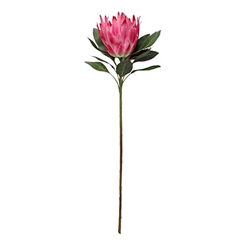 NZXVSE Künstliche König Protea-Blume, 75 cm echte Seidenblumen mit einem Stiel, künstliche Pflanzen Arrangements Dekor Blumenstrauß für Zuhause Küche Garten Hochzeit, Rosenrot von NZXVSE