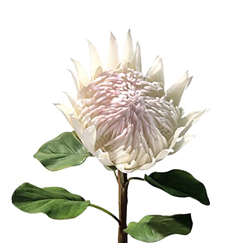 NZXVSE Künstlicher König Protea-Blume, 63,5 cm hoch, tropische Blumenarrangements, Dekoration, fühlt sich echt an, Seidenblumen, Fake King Protea für Hochzeit, Brautstrauß, Zuhause, Küche, Weiß von NZXVSE