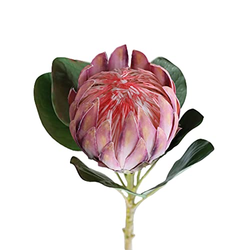 NZXVSE Künstlicher König Protea-Blume, 68 cm hoch, tropische Blumenarrangements, Dekoration, fühlt sich echt an, Seidenblumen, gefälschter König Protea für Hochzeit, Brautstrauß, Zuhause, Küche, lila von NZXVSE