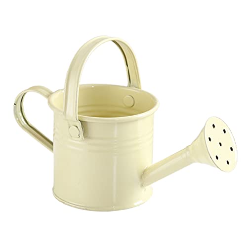 NZXVSE Metall-Gießkanne, Vintage-Gießkanne, Mini-Gartenwassertopf für Kinder, Garten-Bewässerungseimer, Eisengießkanne für Außen- und Innenpflanzen, beige von NZXVSE