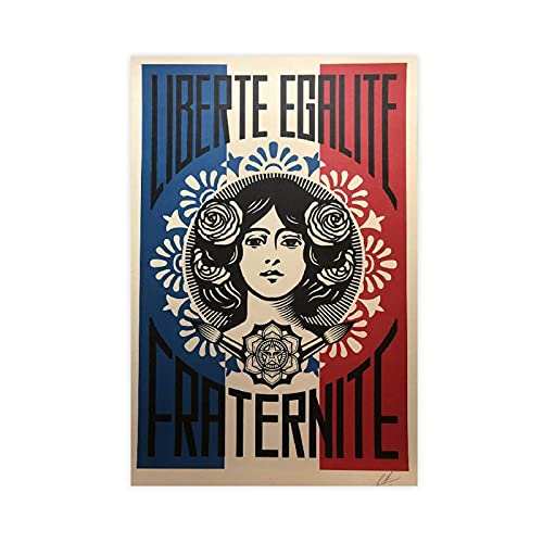Kunstdruck auf Leinwand, Motiv "Freedom / Gleichheit" von Shepard Fairey, 50 x 75 cm von NZZZ