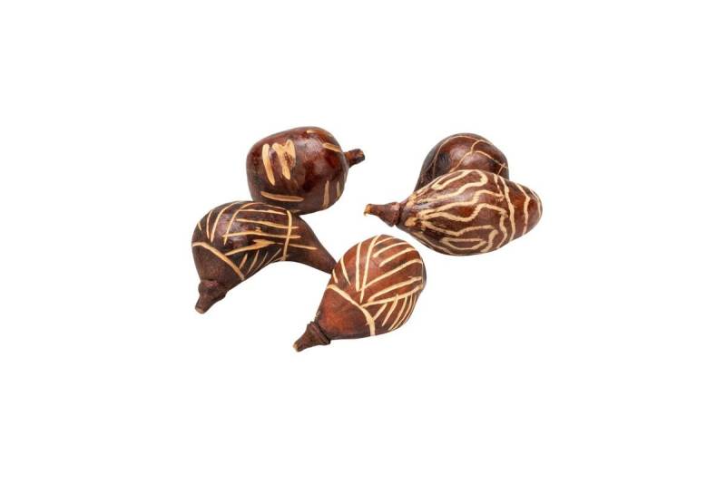 NaDeco Bastelnaturmaterial Baobab mini 5 Stück ca. 5-10 cm Mix Design in Braun von NaDeco