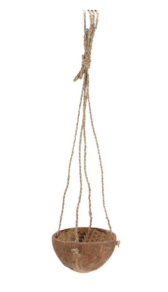 NaDeco Bastelnaturmaterial Blumenampel mit 1 Kokos Becher, ca. 45 cm von NaDeco