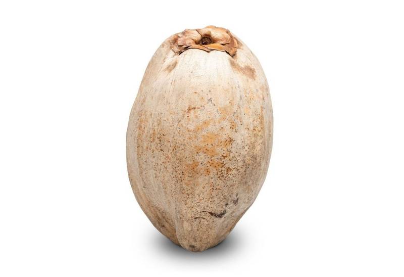 NaDeco Bastelnaturmaterial Kokosnuss ganz ca. 20cm NaDeco Bastelnaturmaterial Kokosnuss ganz ca. 20cm von NaDeco