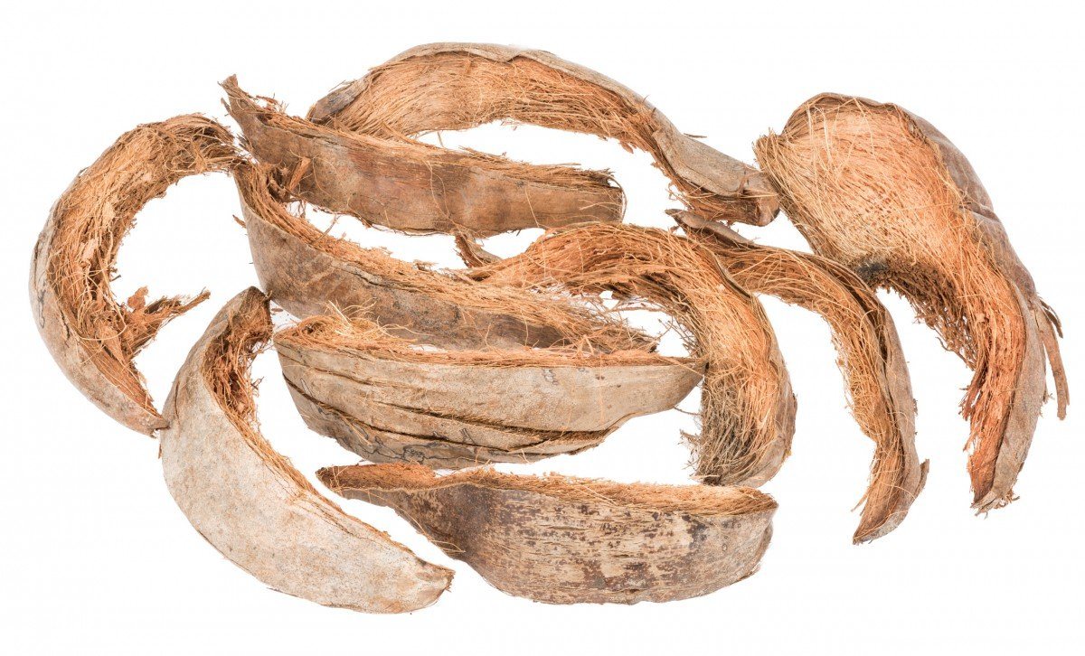 NaDeco Bastelnaturmaterial Kokosschale in Natur 0,5 kg von NaDeco
