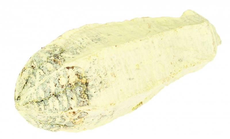 NaDeco Bastelnaturmaterial Mahagoni Kern apfelgrün ca. 8-12cm von NaDeco
