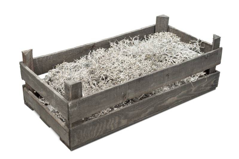 NaDeco Bastelnaturmaterial Mauskraut Deko Zweige weiß mit Holzkiste NaDeco Bastelnaturmaterial Mauskraut Deko Zweige weiß mit Holzkiste von NaDeco