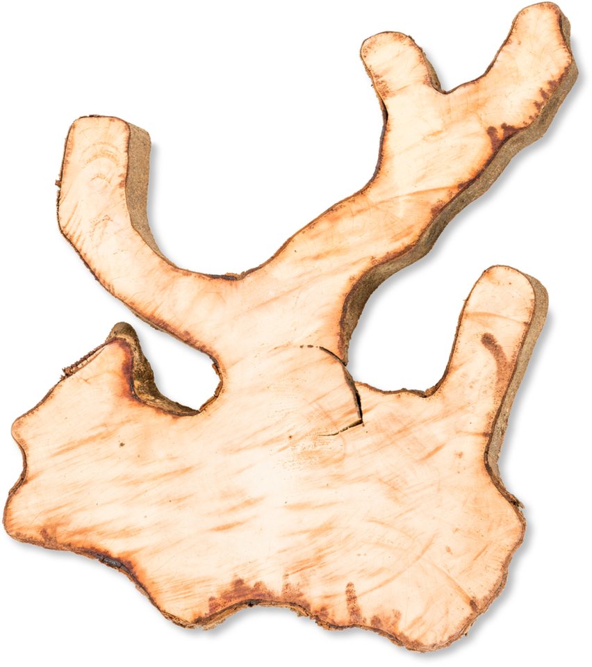 NaDeco Bastelnaturmaterial Ornament Holzscheibe natur ca. 30-40cm Inoca Root von NaDeco