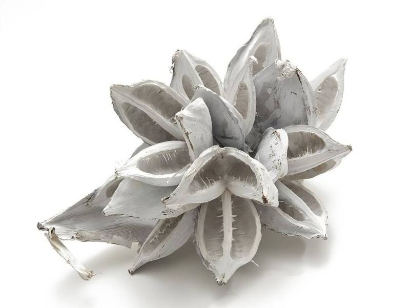 NaDeco Bastelnaturmaterial Sororoca Knospe Weiß gefärbt, Größe ca. 20-30cm Strelítzia nicolái NaDeco Bastelnaturmaterial Sororoca Knospe Weiß gefärbt, Größe ca. 20-30cm Strelítzia nicolái von NaDeco