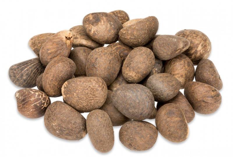 NaDeco Bastelnaturmaterial Tagua Nüsse Natur, verpackt im Beutel mit 1kg Phytelephas macrocarpa von NaDeco