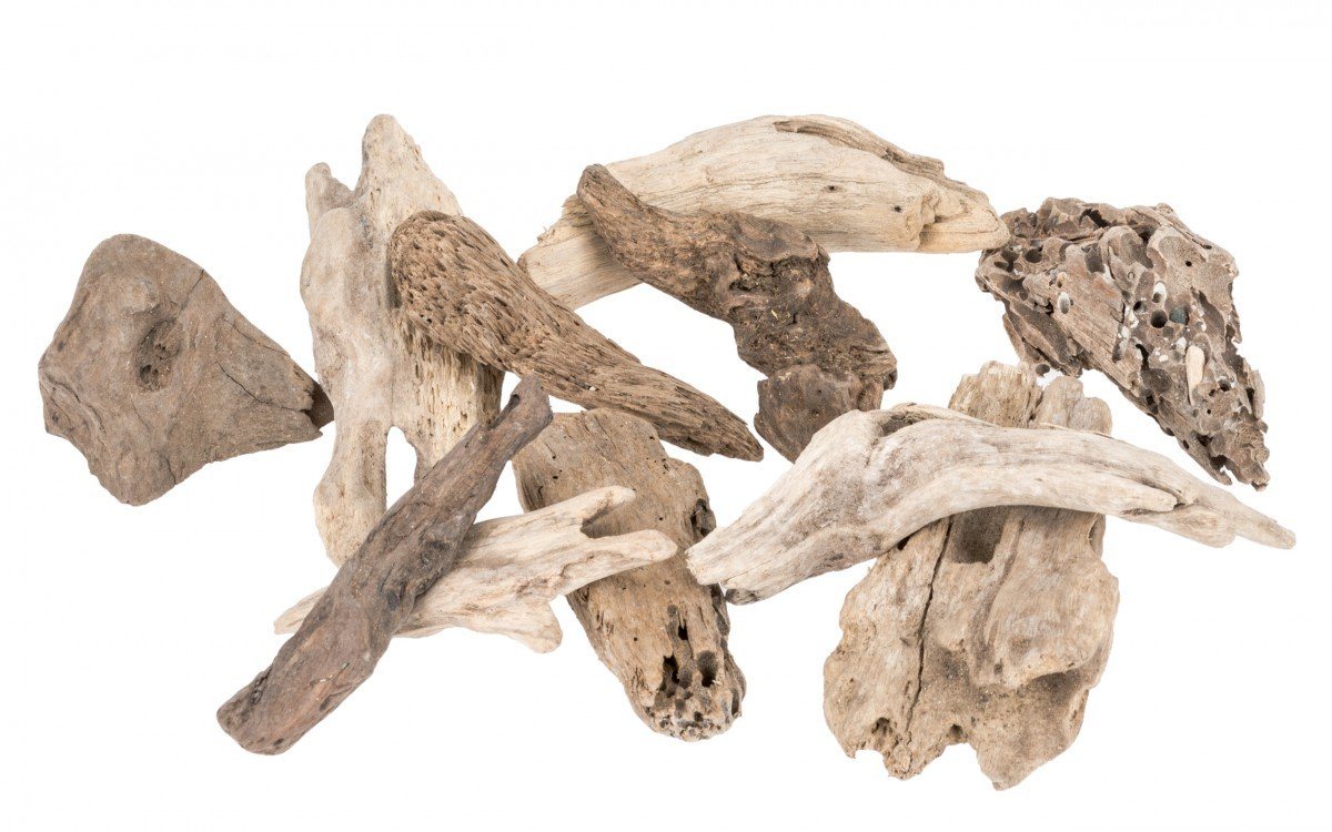 NaDeco Bastelnaturmaterial Treibholz in Natur, Lieferung im Netz mit 0,5kg Drift Wood NaDeco Bastelnaturmaterial Treibholz in Natur, Lieferung im Netz mit 0,5kg Drift Wood von NaDeco