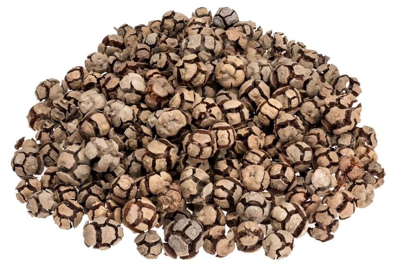 NaDeco Bastelnaturmaterial Zypressen-Zapfen in Natur, 0,5kg, ca. 80-100 Stk. Cupressus NaDeco Bastelnaturmaterial Zypressen-Zapfen in Natur, 0,5kg, ca. 80-100 Stk. Cupressus von NaDeco