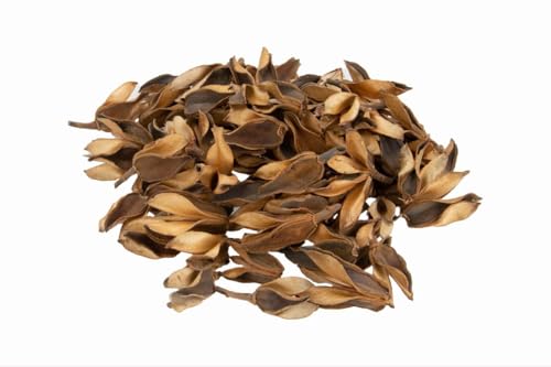NaDeco Bata caixa Natur, ca. 4-7cm, verpackt mit 200g | Salvertia convallariodora | Streudeko | Naturdeko zum Basteln und Dekorieren | Exotische Dekoration | DIY | Exotische Torraumdekoration NaDeco Bata caixa Natur, ca. 4-7cm, verpackt mit 200g | Salvertia convallariodora | Streudeko | Naturdeko zum Basteln und Dekorieren | Exotische Dekoration | DIY | Exotische Torraumdekoration von NaDeco