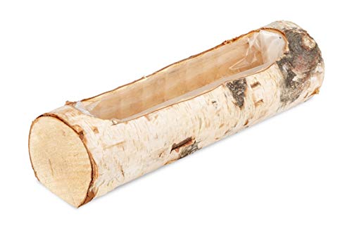 NaDeco Birkenstamm Pflanzenschale, Länge ca. 29cm | Birkenstamm zum Bepflanzen | Pflanzschale aus Birkenstammholz | Pflanztopf Birke | Holzstamm zum Bepflanzen | Pflanztopf Natur von NaDeco
