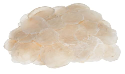 NaDeco Camar-Perlmuttscheiben in Natur, Packung mit 0,5kg | Perlmuttscheiben zum Basteln | Capiz | Preisschilder selber Machen | Namensschilder selber Machen | Perlmutt-Scheiben | Deko-Muschel NaDeco Camar-Perlmuttscheiben in Natur, Packung mit 0,5kg | Perlmuttscheiben zum Basteln | Capiz | Preisschilder selber Machen | Namensschilder selber Machen | Perlmutt-Scheiben | Deko-Muschel von NaDeco