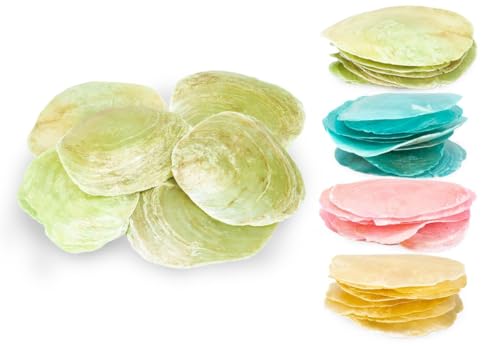NaDeco Camar-Perlmuttscheiben in vielen Farben wählbar, Packung mit 0,25kg | Bunte Perlmuttscheiben zum Basteln | Capiz | Namensschilder selber Machen | Deko-Muschel, Farbe:Hellgrün von NaDeco