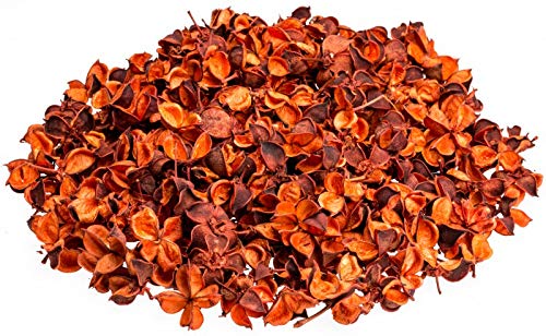 NaDeco Cotton Pods in Orange, ca. 250g, Größe ca. 2-3cm | Getrocknete Baumwoll-Knospen für herbstliche Dekoration | Ideal für Trockenblumen-Arrangements, Bastelprojekte & kreative Wohnideen NaDeco Cotton Pods in Orange, ca. 250g, Größe ca. 2-3cm | Getrocknete Baumwoll-Knospen für herbstliche Dekoration | Ideal für Trockenblumen-Arrangements, Bastelprojekte & kreative Wohnideen von NaDeco