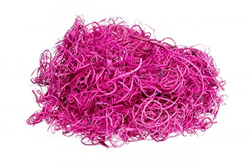 NaDeco Curly Moos Fuchsia 500g Curlymoos Tillandsia Moos Deko Moos Bastelmoos Dekomoos Bastel Moos von NaDeco