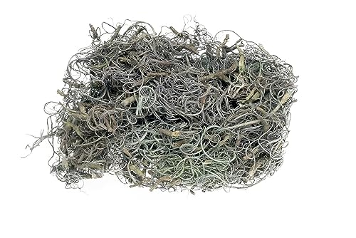 NaDeco Curly Moos in Grau, Gewicht ca. 50g | Curlymoos | Tillandsia Moos | Spanisches Moos | Moos-Deko | Deko-Moos | Bastelmoos | Dekomoos | Bastel-Moos | Moos zum Basteln von NaDeco