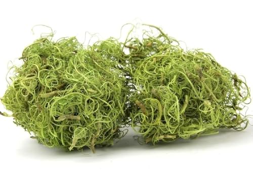 NaDeco Curly Moos in Grün, Gewicht ca. 50g | Curlymoos | Tillandsia Moos | Spanisches Moos | Moos-Deko | Deko-Moos | Bastelmoos | Dekomoos | Bastel-Moos | Moos zum Basteln von NaDeco