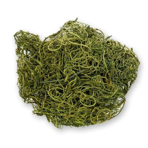 NaDeco Curly Moos moosgrün 50g | Curlymoos | Tillandsia Moos | Deko Moos | Bastelmoos | Dekomoos | Bastel Moos | Moos zum Basteln NaDeco Curly Moos moosgrün 50g | Curlymoos | Tillandsia Moos | Deko Moos | Bastelmoos | Dekomoos | Bastel Moos | Moos zum Basteln von NaDeco