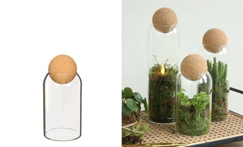 NaDeco Dekovase Flaschengarten mit Korken h.19 Ø8.5cm Pflanzenterrarium von NaDeco