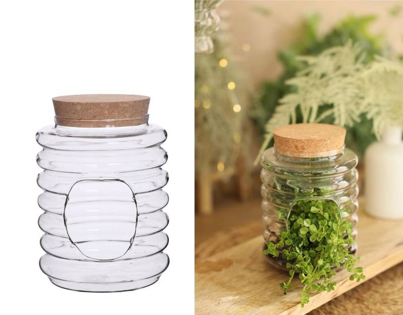 NaDeco Dekovase Glas-Terrarium mit Korken, in der Größe Ø11 h.14 cm Flaschengarten NaDeco Dekovase Glas-Terrarium mit Korken, in der Größe Ø11 h.14 cm Flaschengarten von NaDeco