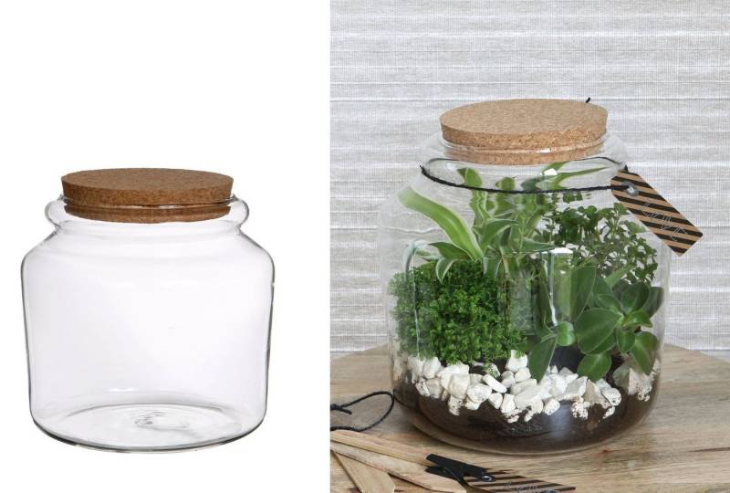 NaDeco Dekovase Pflanzen Terrarium aus Glas, mit Korken Größe Ø15 h.14 cm von NaDeco