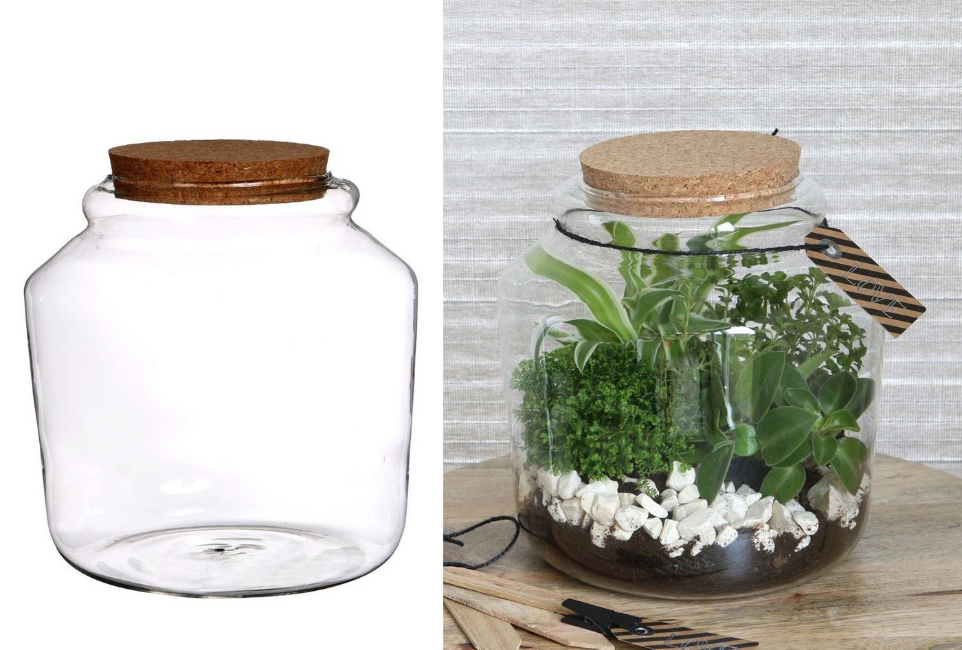 NaDeco Dekovase Pflanzen Terrarium aus Glas, mit Korken Größe Ø18 h.18 cm von NaDeco