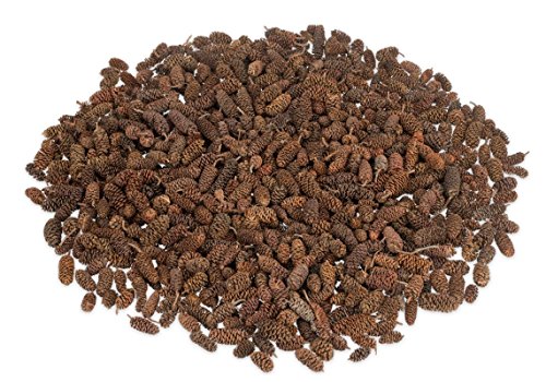 NaDeco Erlen-Zapfen in Natur, Packung mit ca. 0,3kg Erlenzapfen Alnus glutinosa Black Alder Cones Dekozapfen Tannenzapfen Tannen-Zapfen Naturzapfen Adventsdeko Weihnachtsdeko Naturdeko von NaDeco