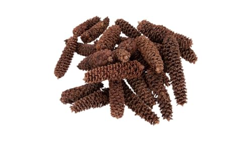 NaDeco Fichtenzapfen, geraspelt, Packung mit ca. 0,5kg, ca. 40-60 STK. | Picea Abies | Zapfen der Rotfichte | Deko-Zapfen | Tannenzapfen | Naturzapfen | Kiefernzapfen | Weihnachtsdeko | Adventsdeko von NaDeco